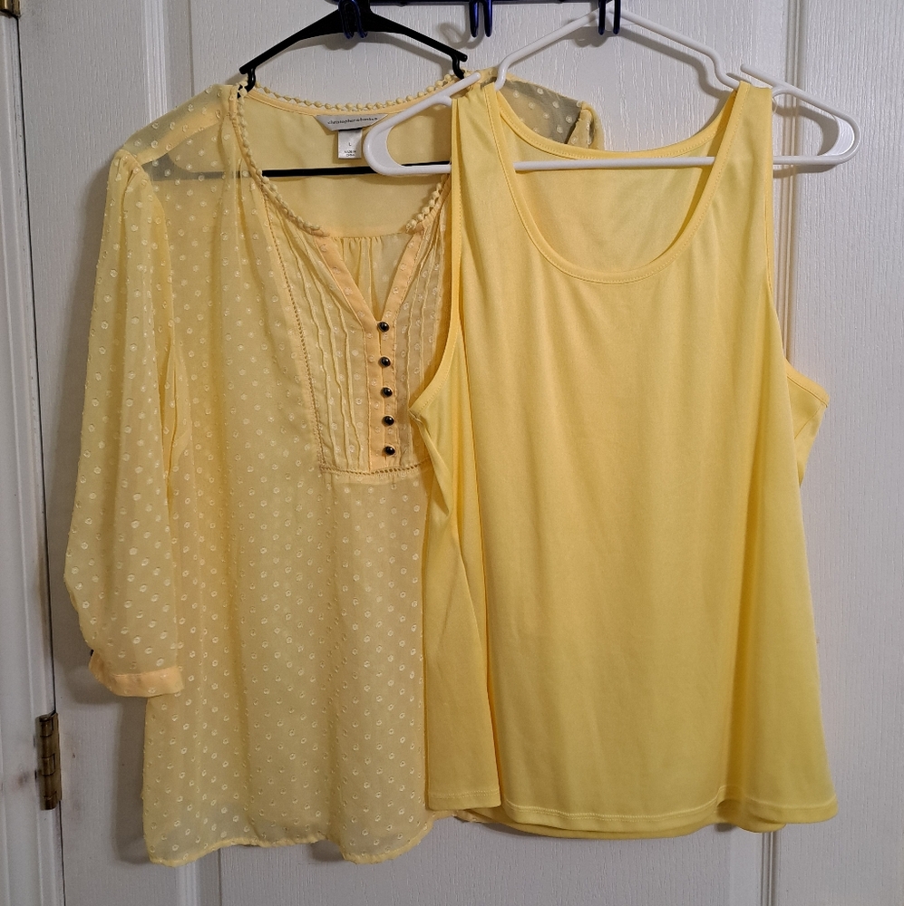 Christopher and Banks Yellow Sheer Top and Tank set Size Large
